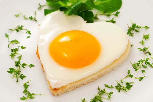 Yumurta Bilimsel Olarak da Sağlıklı