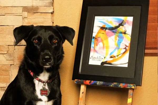Featured image of post Ressam Köpek Arbor Yardım İçin Resim Yapıyor!