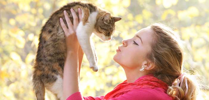 Kedi Mırıltısının Sağlığınıza Faydaları