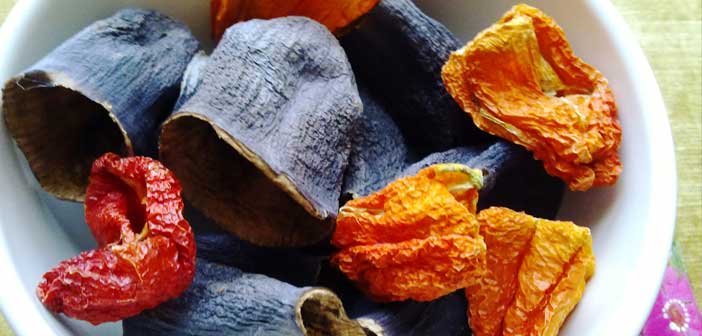 Kuru Patlıcan ve Biber Nasıl Hazırlanır?