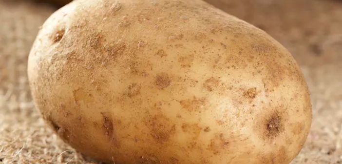 Hangi Yemek İçin Hangi Patates Kullanılmalı?