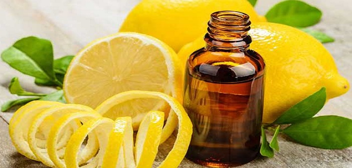 Evde Limon Kolonyası Nasıl Yapılır?
