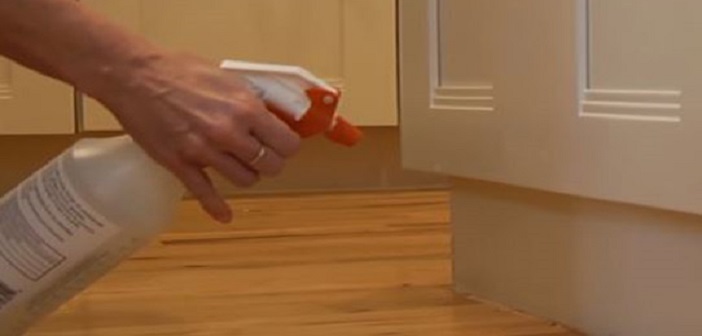 Güçlü Doğal Böcek Kovucu Nasıl Yapılır?