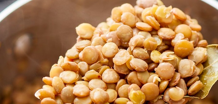 Et Yerine Mercimek Nasıl Kullanılır?