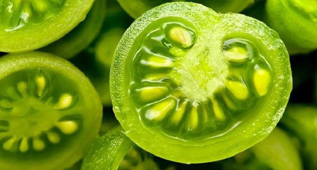 yesil-domates