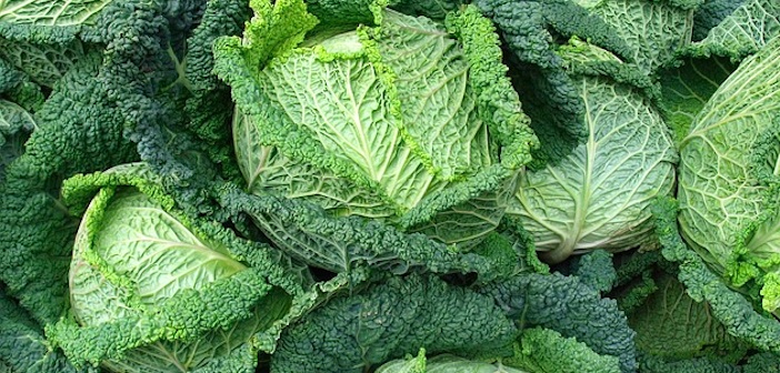 kale-sebze2