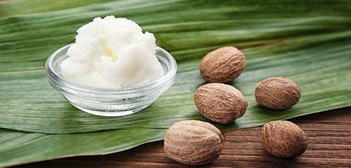 Shea Yağı Nedir? Faydaları Nelerdir?