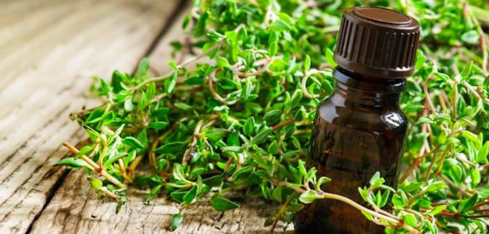 Featured image of post Egzama İçin Etkili 6 Anti-Inflamatuar Uçucu Yağ