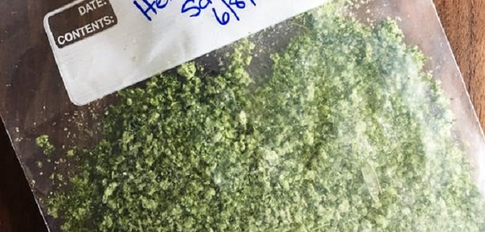 Featured image of post Taze Otları Kışa Saklamak İçin Yaratıcı Bir İpucu