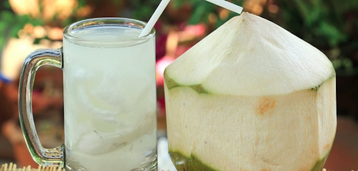 Featured image of post Hindistan Cevizi Suyu İle Kefir Yapımı