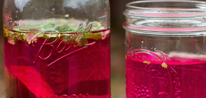 Zihin ve Beden Temizleyici Detoks Suları