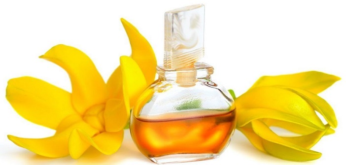 Ylang Ylang Esansiyel Yağının Şaşırtıcı Faydaları