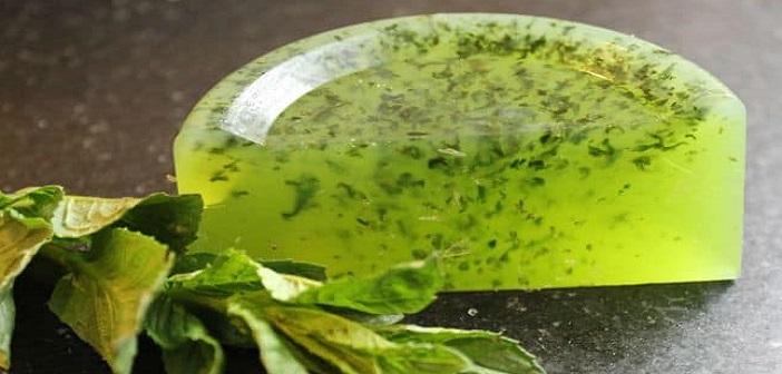 Featured image of post Evde Basit Nane Sabunu Yapımı