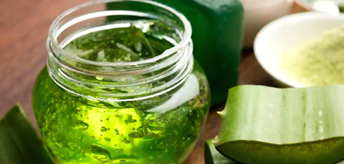 Aloe Vera Jelini Uzun Süre Saklama Yöntemleri