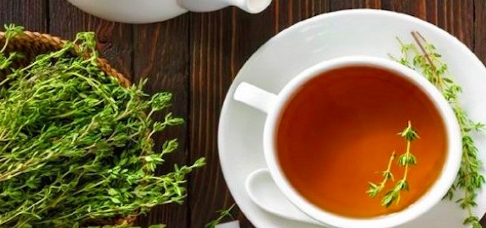 Featured image of post Kekik Çayının Sağlık Faydaları