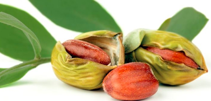 Jojoba Yağı ile Ev Yapımı Saç Kremi