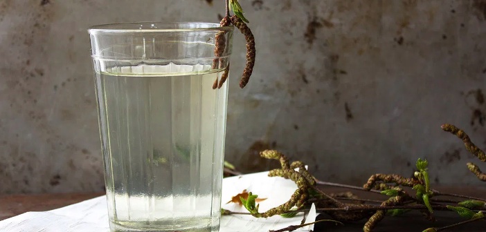 Huş Suyu Nedir? Yararları Nelerdir?