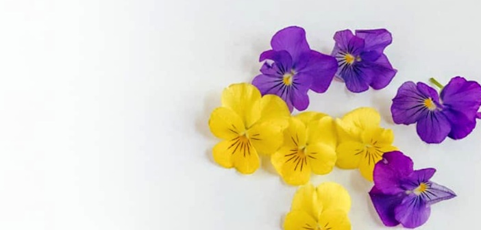 DIY Bronzlaşma Yağı Tarifi