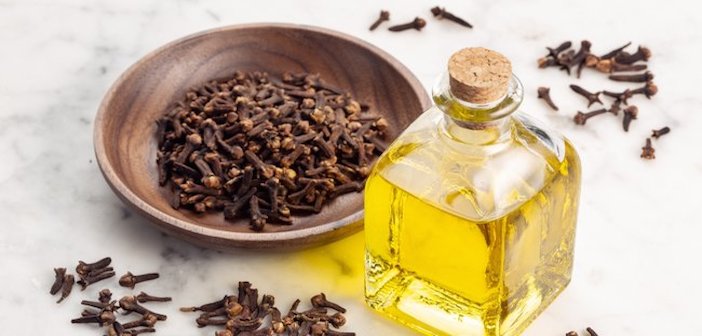 Karanfil Yağı Nasıl Yapılır?