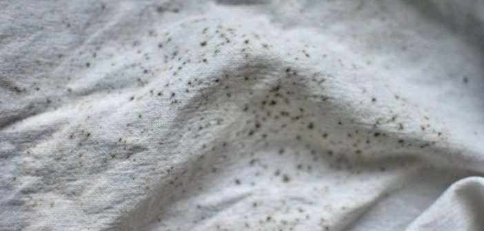 Pamuklu Kumaştan Küf Lekesi Temizlemenin Yolu