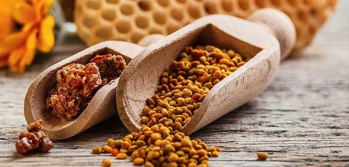 Propolis Nedir? Propolisin Faydaları Nelerdir?