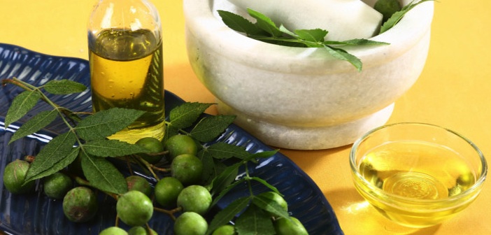 Neem Yağının Cilt İçin 11 İnanılmaz Faydası