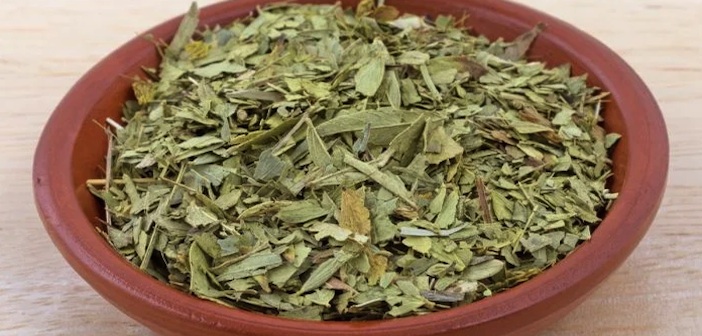 Sinameki Çayının Kanıtlanmış Faydaları
